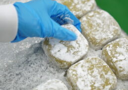 【五島の観光とよか産品まつり】かんころ餅づくり体験会;